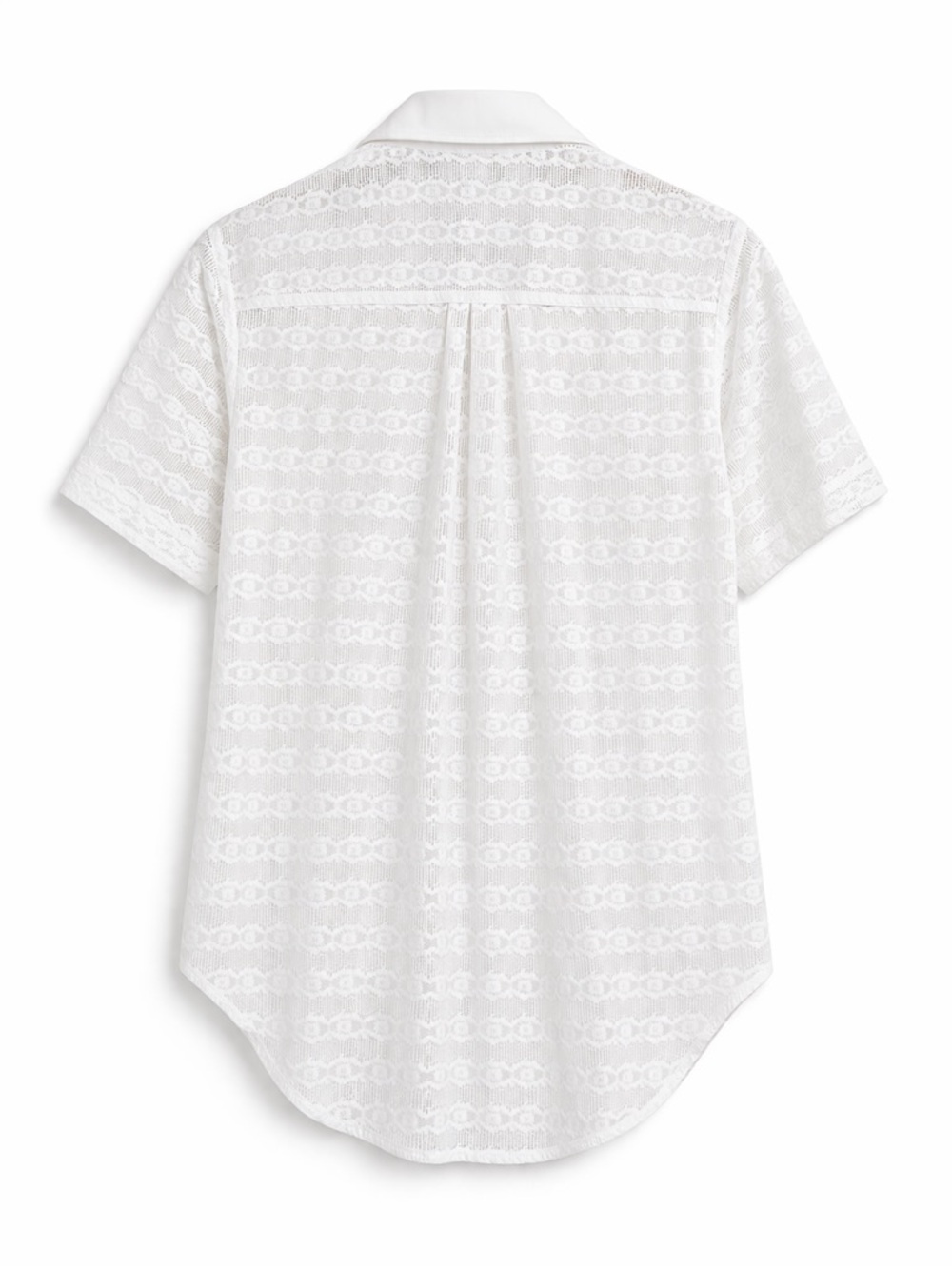 Tranali White Sheer Lace Button Down Blouse Collared Romantic Cottagecore Top-S - Picture 3 of 6